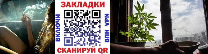 Где купить наркоту Гаврилов-Ям Cocaine  Меф  Псилоцибиновые грибы  Марихуана  Гашиш  АМФЕТАМИН 