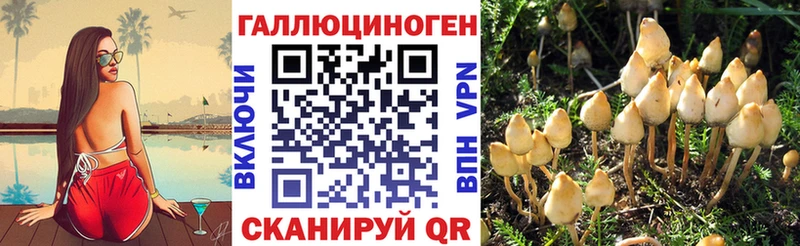 Галлюциногенные грибы GOLDEN TEACHER  купить наркотик  Гаврилов-Ям 